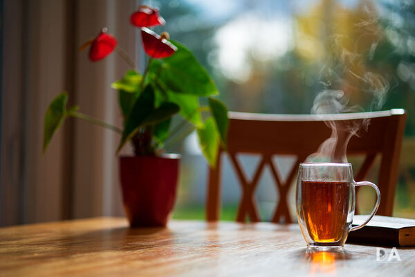 A warm cup of tea on a wooden surface with soft morning light